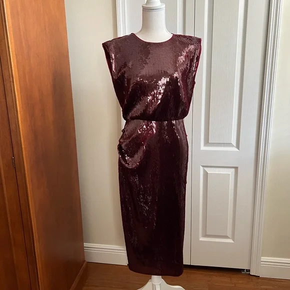 EXPRESS Sequin Midi Dress. Size S - Picture 7 of 16